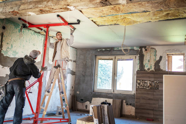 Best Cellulose Insulation  in Washingtonville, NY